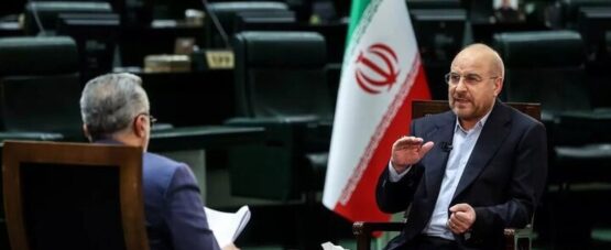 در خودرو سازی مسیر غلطی را طی می‌کنیم/ از عملکرد مجلس راضی هستیم اما قانع نیستیم