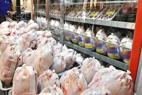 نظارت بر عرضه مرغ در البرز