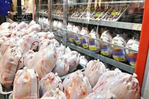 نظارت بر عرضه مرغ در البرز