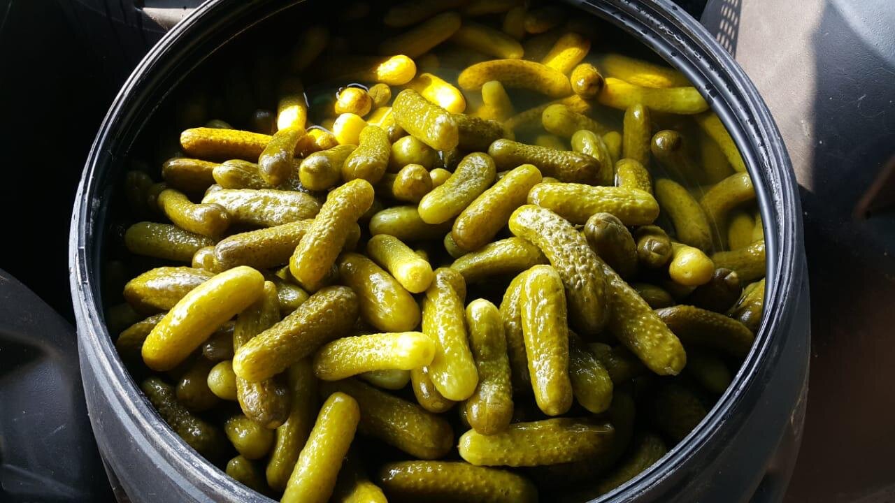 آیا لایه سفید روی آب خیارشورهای فله خطرناک است؟/ احتمال افزودن «کات کبود» به خیارشورها