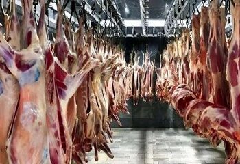 لیست قیمت گوشت قرمز امروز ۲۲ اردیبهشت ۱۴۰۵ / گوشت خورشتی گوساله و گوسفندی چند شد؟ + جدول