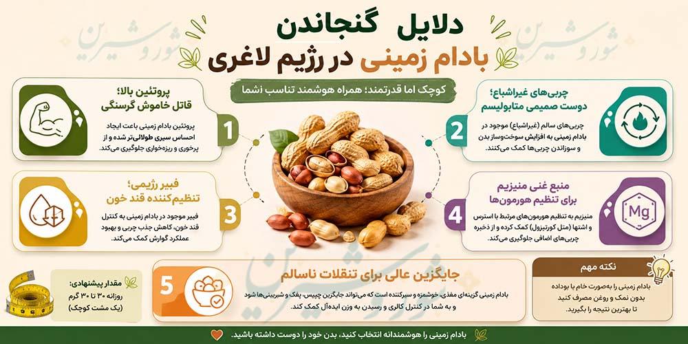 مصرف بادام زمینی در رژیم لاغری؛ معجزه چربی‌سوزی یا عامل چاقی؟