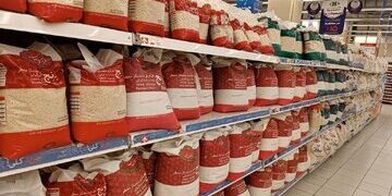 لیست قیمت انواع برنج ایرانی ۵ شهریور ۱۴۰۵/ برنج ایرانی عنبربو، طارم، هاشمی، نیمدانه و…کیلویی چند شد؟ + جدول