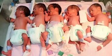 یک زایمان، ۵ پسر/ تولد پنجقلوهای تبریزی خبرساز شد/ عکس