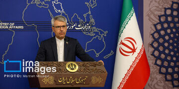 سخنگوی وزارت امور خارجه: موفقیت دیپلماسی در گرو پشتوانه مردم و میدان است